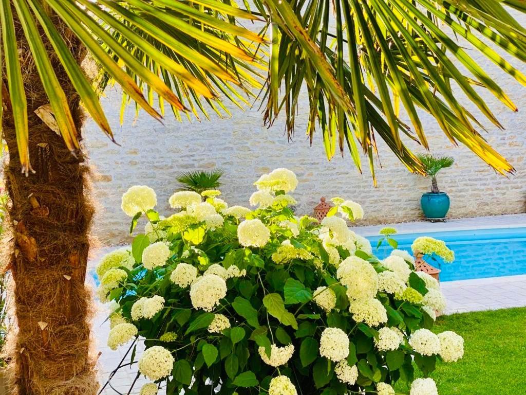 "Le Jardin" Chambre De Charme, Piscine A Meursault Exteriér fotografie