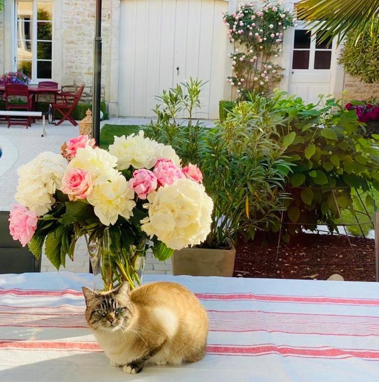 "Le Jardin" Chambre De Charme, Piscine A Meursault Exteriér fotografie